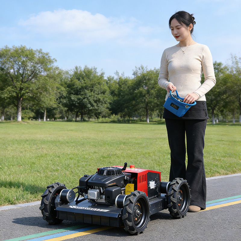 Farming Or Agriculture - Nouveaux produits personnalisés : Tondeuses à