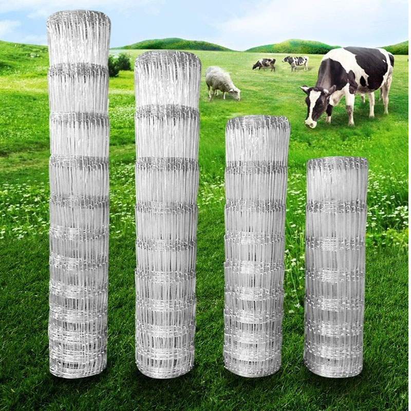 Rabbit Cage Wire - 1X50 mètres 10-25cm écart bétail Anti