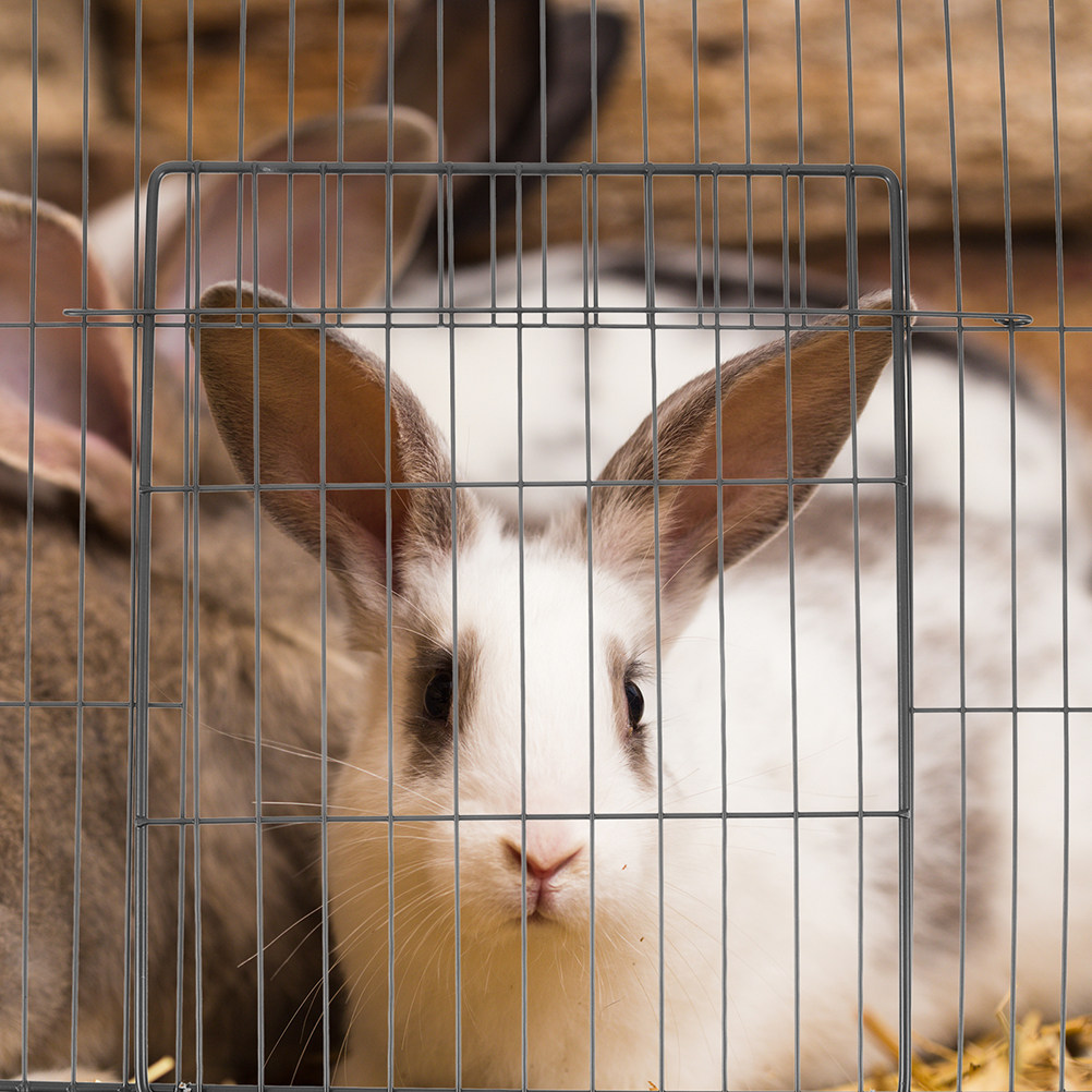 2 pièces de panneaux de porte  - Rabbit Cage Wire avis et prix