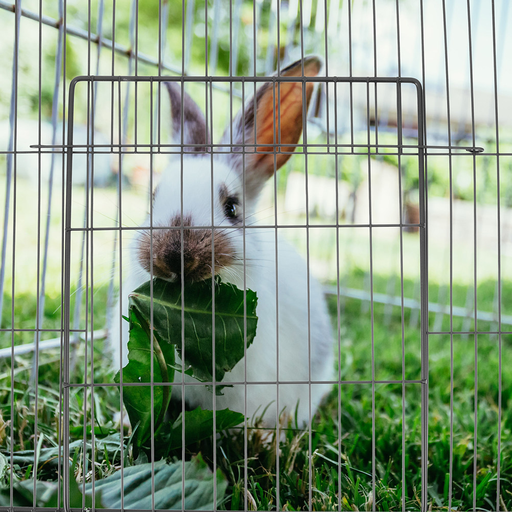2 pièces de panneaux de porte  - Rabbit Cage Wire avis et prix