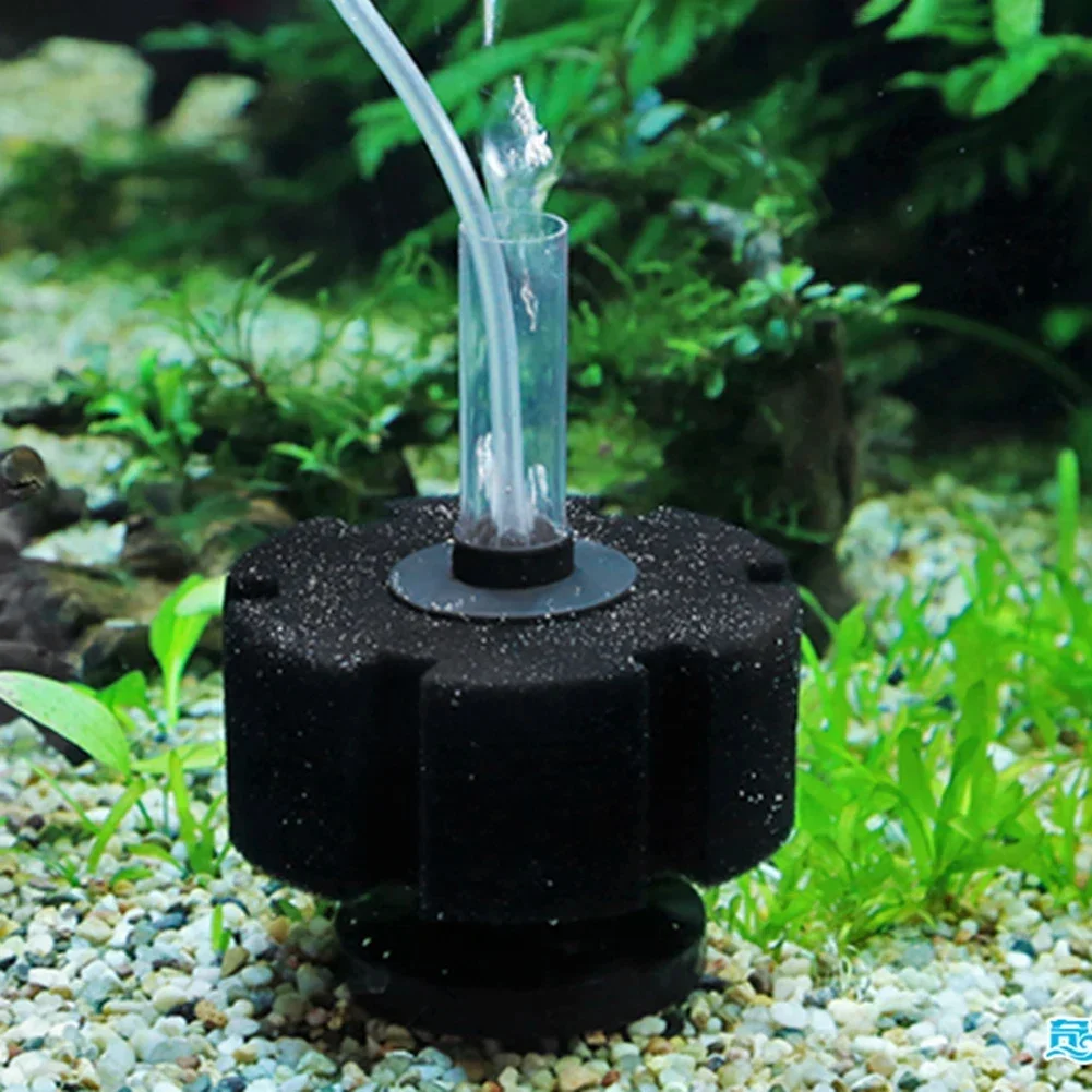Éponge filtrante pour aquarium - Aquaculture Aerator Pump avis et prix