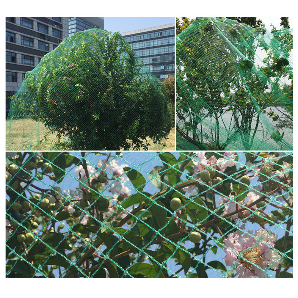 Filet anti-oiseaux vert de 15M - Agriculture Gardening Farming avis et prix